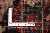 Jozan - Sarouk Persian Carpet 310x214 - Picture 4