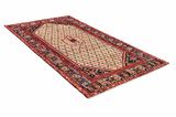 Songhor - Koliai Persian Carpet 282x150 - Picture 1