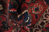 Bakhtiari Persian Carpet 315x210 - Picture 7