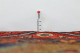 Songhor - Koliai Persian Carpet 275x150 - Picture 8
