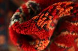 Sarouk - Lilian Persian Carpet 295x120 - Picture 7