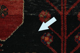 Koliai - Kurdi Persian Carpet 268x146 - Picture 17