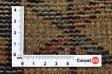 Borchalou Persian Carpet 257x152 - Picture 4