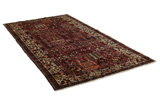 Bakhtiari - Garden Persian Carpet 302x160 - Picture 1
