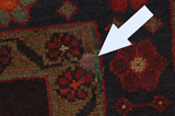 Koliai - Kurdi Persian Carpet 258x150 - Picture 17