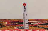 Lilian - Sarouk Persian Carpet 323x220 - Picture 8