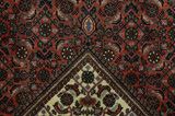 Bijar Persian Carpet 248x156 - Picture 6