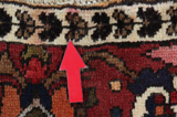 Bakhtiari - Garden Persian Carpet 292x175 - Picture 17
