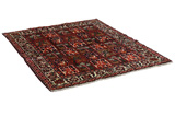 Bakhtiari - Qashqai Persian Carpet 186x156 - Picture 1