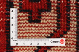 Lori - Gabbeh Persian Carpet 275x188 - Picture 4