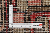 Jozan - Sarouk Persian Carpet 271x168 - Picture 4