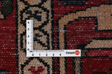 Bakhtiari Persian Carpet 305x220 - Picture 4