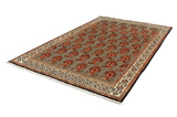 Mir - Sarouk Persian Carpet 309x201 - Picture 2