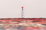Farahan - Sarouk Persian Carpet 337x213 - Picture 8