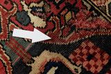 Bakhtiari - Garden Persian Carpet 310x210 - Picture 17